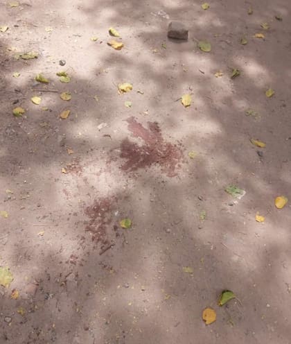 En cuestión de segundos, el agresor le asestó un golpe en la cabeza con una piedra y lo dejó tendido en el piso.