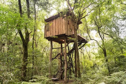 En Cuña Pirú Lodge una de las opciones de hospedaje son dos cabañas de madera entre los árboles, a nueve metros del suelo.