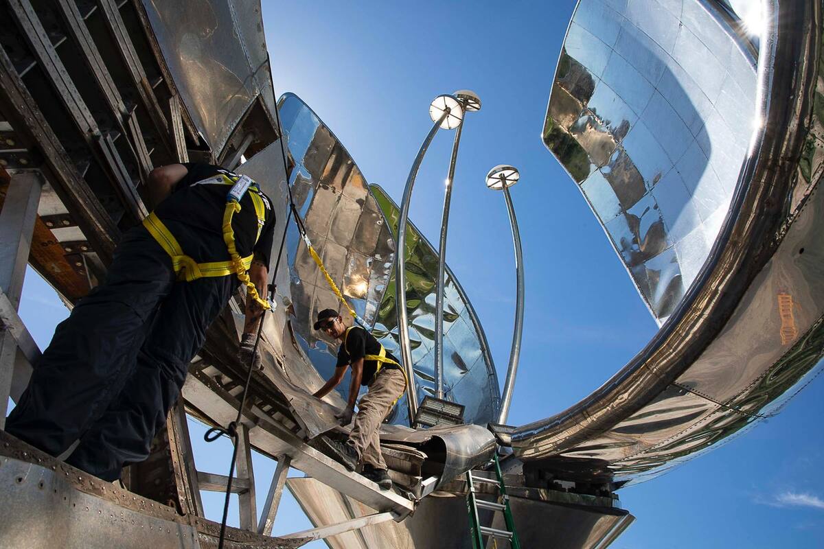 En diciembre cayó uno de los pétalos de la icónica escultura Floralis Genérica, ubicada en el barrio porteño de Recoleta