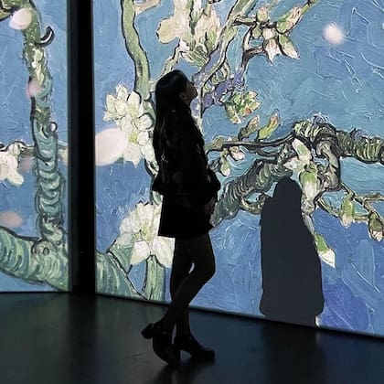 En diferentes salas se distribuyen escenografías inspiradas en los jardines, estanques y paisajes que Monet pintó a lo largo de su vida