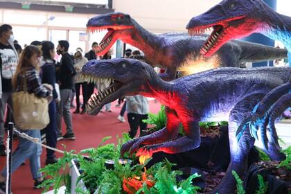 En ediciones anteriores, dinosaurios animatronic recibían al público en el stand 602 del pabellón azul, del Ministerio de Cultura de la Nación