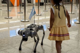 Se buscan paseadores de perros robot; no se necesita experiencia previa