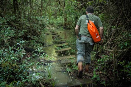 En el 2000, Carlos Sandoval durante el armado de los senderos para interpretar la selva.