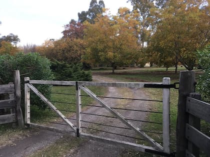 En el 2005, en Verónica, provincia de Buenos Aires, los Steinwald comenzaron en una finca a producir nueces de pecán
