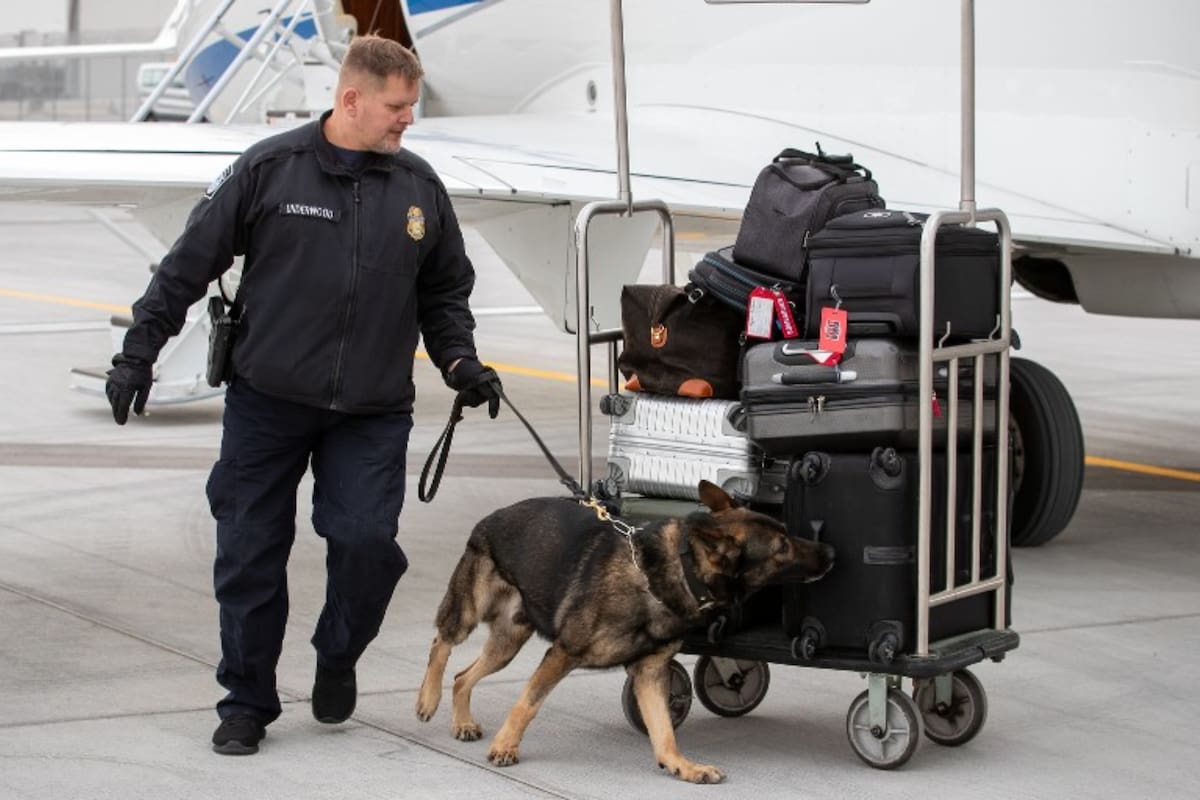 En el Aeropuerto Metropolitano de Detroit, un pasajero fue retenido tras querer transportas una gran cantidad de moluscos vivos