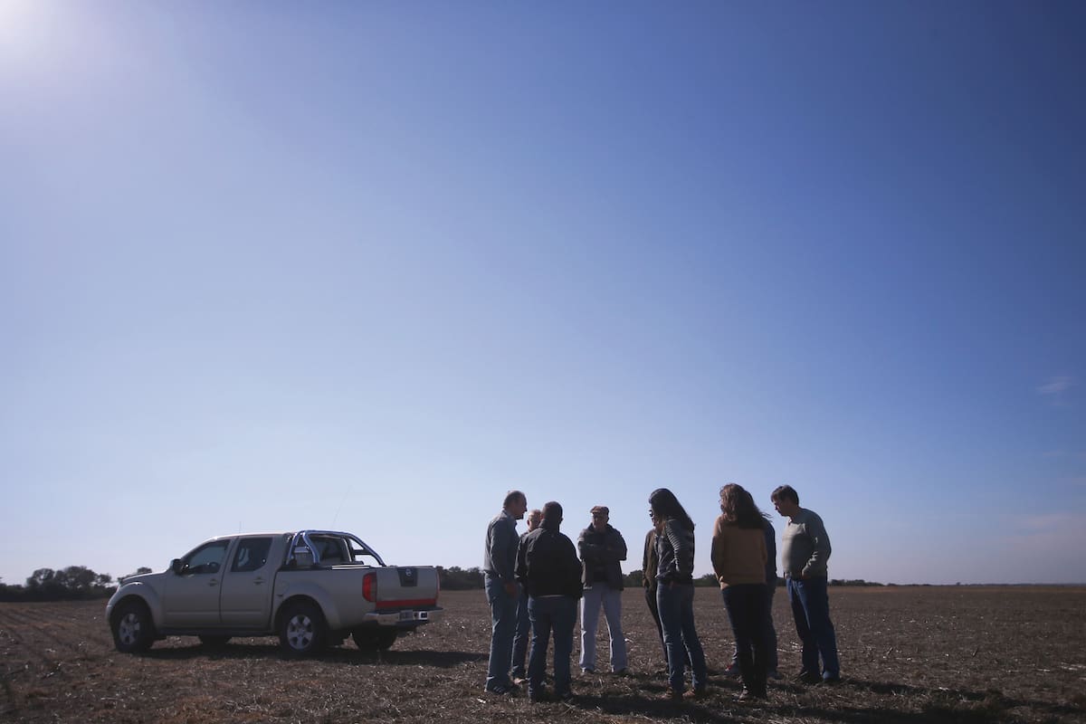 En el agro un 36% de los productores aguardan que las elecciones generen un cambio favorable para el campo