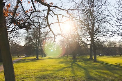En el año existen dos equinoccios, el de primavera y el de otoño
