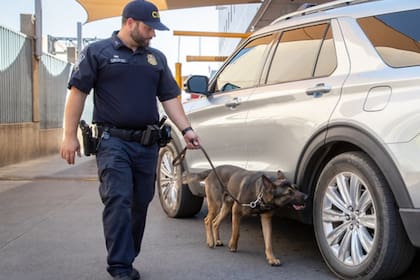 En el año fiscal 2025, los agentes de la CBP incautaron armas y municiones en 2997 ocasiones