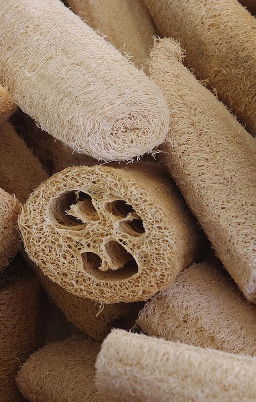 En el baño o en la cocina, las esponjas vegetales son muy elegidas por quienes optan por usar productos orgánicos en la cosmética y en la limpieza.