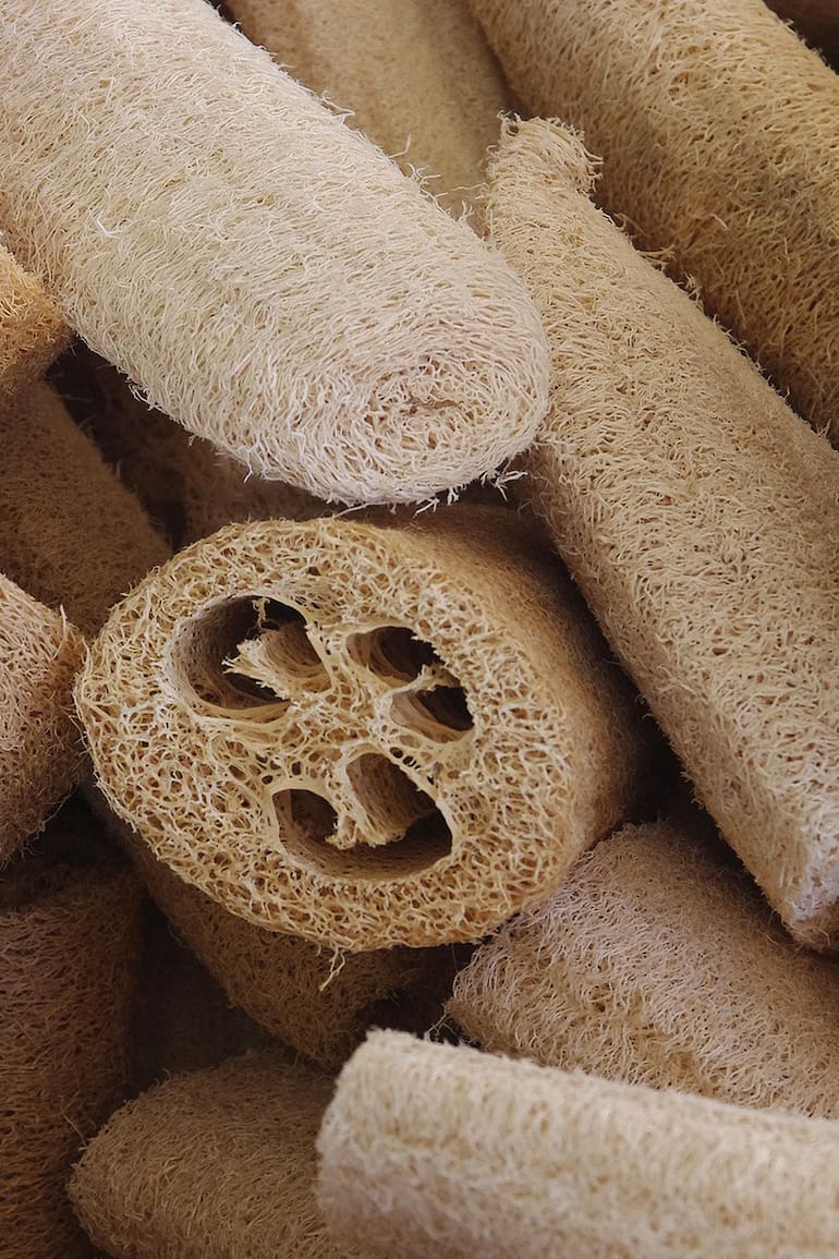 En el baño o en la cocina, las esponjas vegetales son muy elegidas por quienes optan por usar productos orgánicos en la cosmética y en la limpieza.
