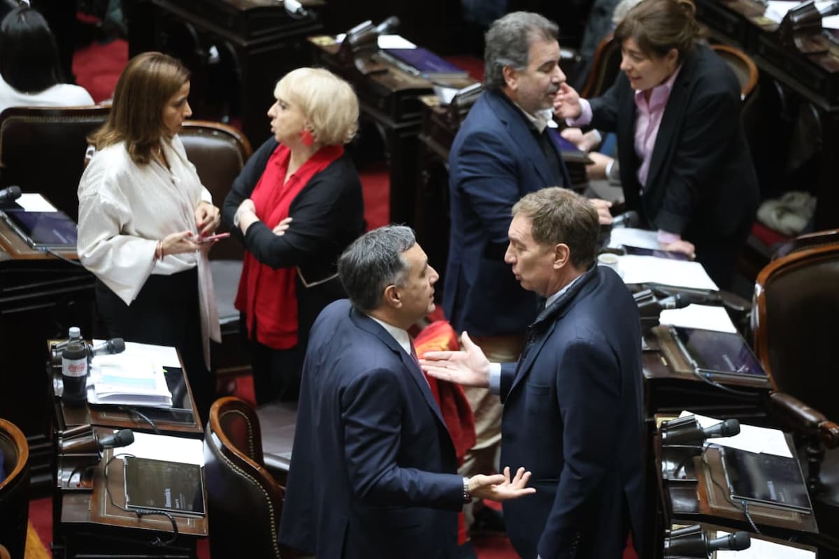 En el bloque de Pro hubo cinco votos afirmativos para tratar la emergencia en discapacidad