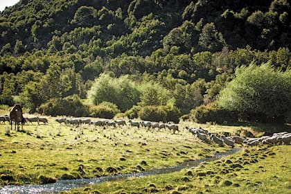 En el camino a pie hay que vadear arroyos y es común cruzarse con cientos de ovejas en un verde valle.