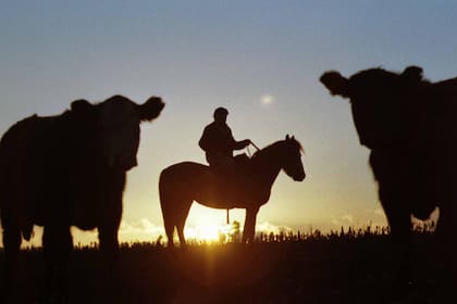 EN EL CAMPO FLORES, JOSE ASPIRO ENCIERRA LA HACIENDA AL ATARDECER. 21/7/99. OTAMENDI.