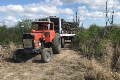 En el campo producen hasta 140 toneladas de madera al mes