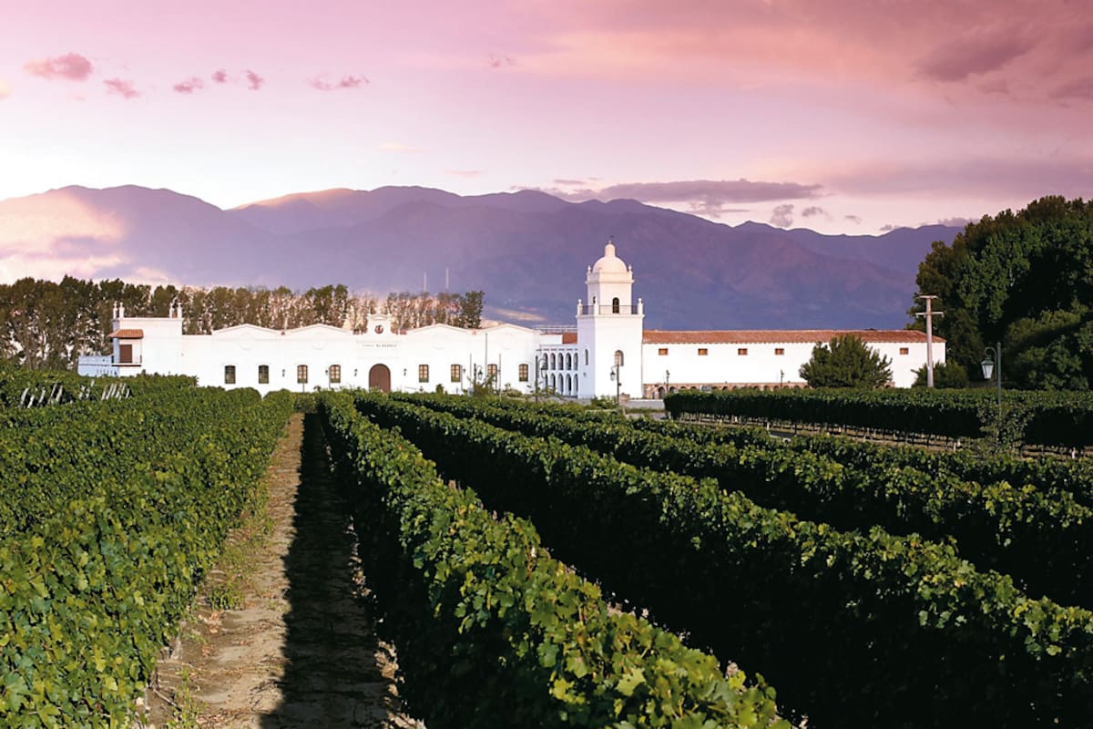 En el centro de Cafayate, la bodega El Esteco está rodeada por antiguos viñedos