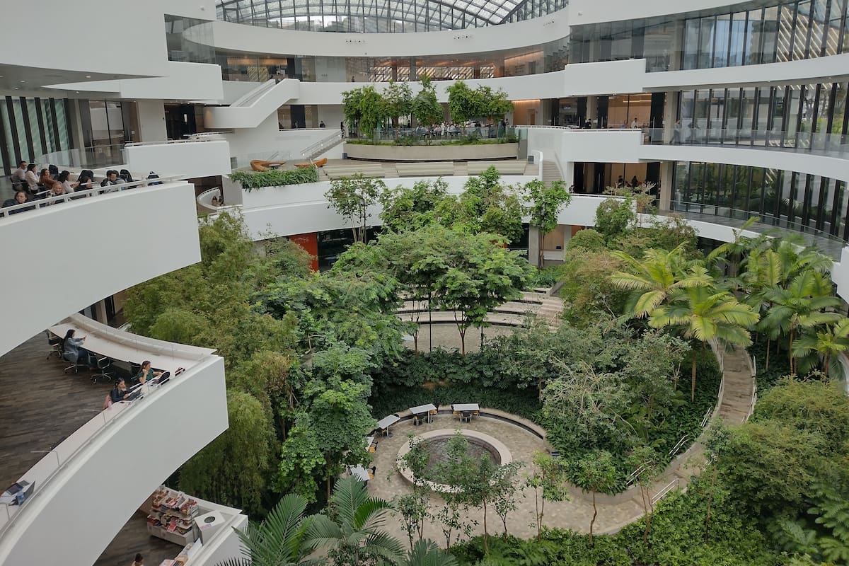 En el Centro de Enseñanza e Investigación del Hospital Albert Einstein, en San Pablo, un equipo diseña intervenciones que ayudan en la promoción y prevención de salud mental y emocional