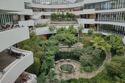 En el Centro de Enseñanza e Investigación del Hospital Albert Einstein, en San Pablo, un equipo diseña intervenciones que ayudan en la promoción y prevención de salud mental y emocional