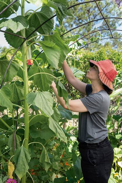 .En el centro de su huerta, Paula puso una pérgola para las plantas trepadoras