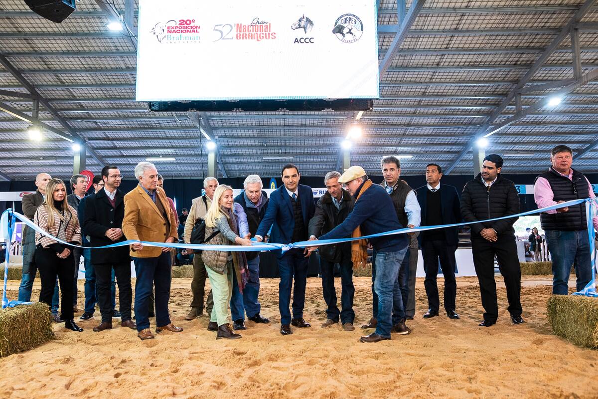 En el centro, el gobernador Gustavo Valdés con autoridades de la organización y dirigentes de las razas que compiten