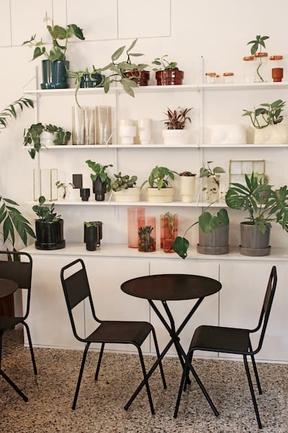 En el centro histórico de Olivos, este espacio lleno de plantas sirve café y platos mayormente de origen vegetal.