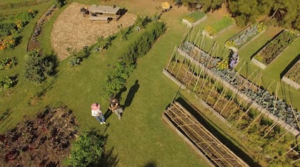 En el centro la mesa de trabajo y experimentación, diversidad de cultivos y dos agrónomos en plena faena.