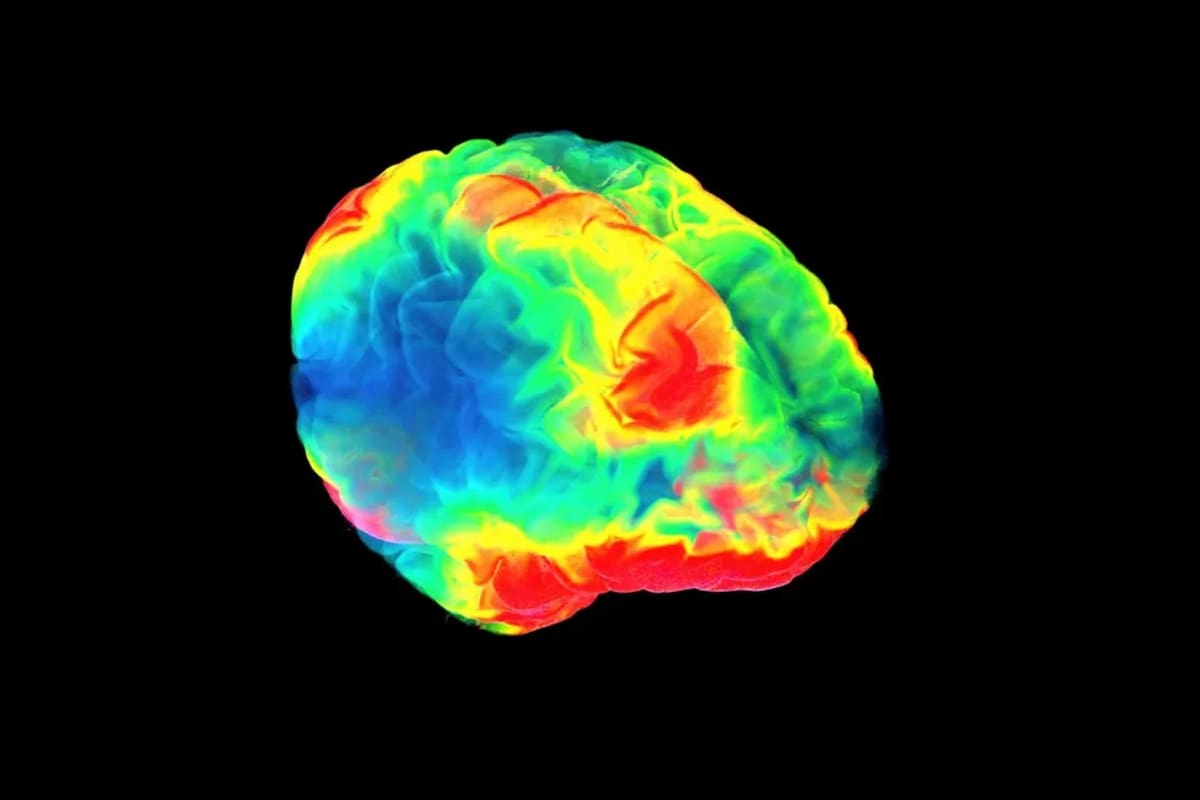 En el cerebro hay una media docena de pequeñas áreas que cuando se interconectan, actúan como un solo grupo para activar placeres intensos dice el científico Kent Berridge
