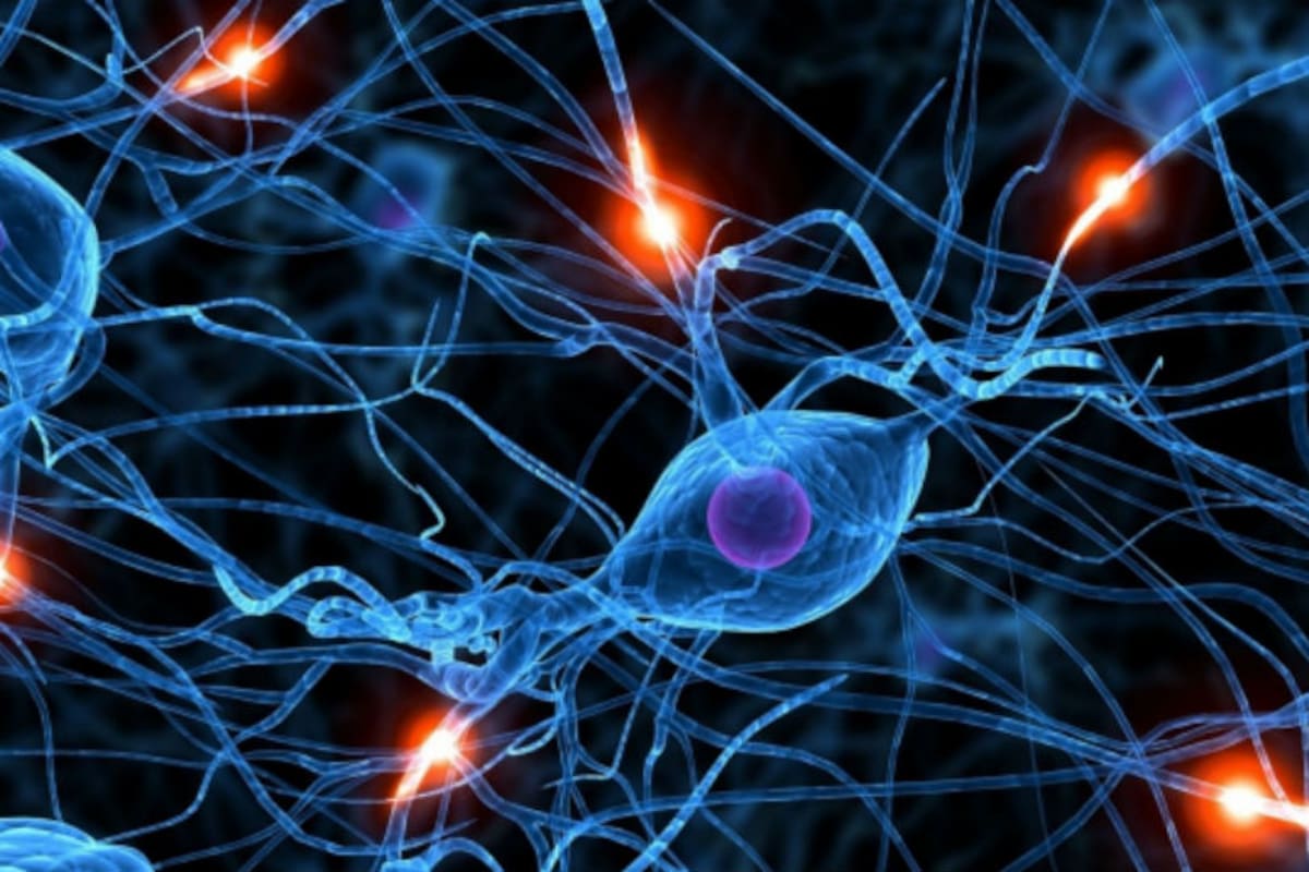 En el cerebro se produce una pérdida selectiva en el número de neuronas que se encargan de la producción de un neurotransmisor llamado dopamina