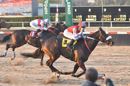 En el Clásico Paraguay (G3), sobre arena, Labrado dejó atrás a Luthier Blues y le cortó una serie de 10 victorias seguidas.