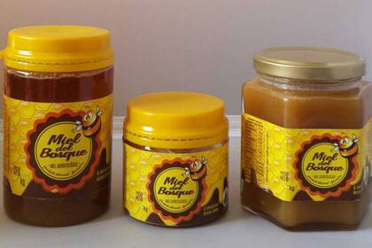 En el cluster de Córdoba ya hay 27 productores con el sistema que apunta al bienestar de las abejas