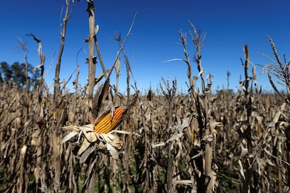 La producción, frente a nuevos desafíos