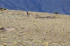 El inédito geoglifo que pudo ser un centro ceremonial e intriga a los arqueólogos