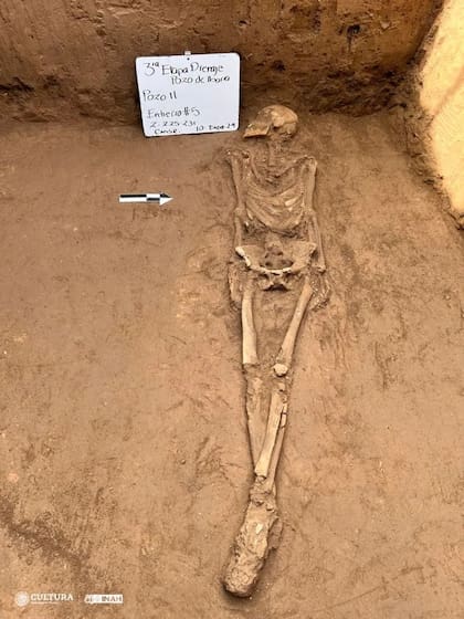 En el cúmulo de huesos, se halló un esqueleto en perfecta conservación