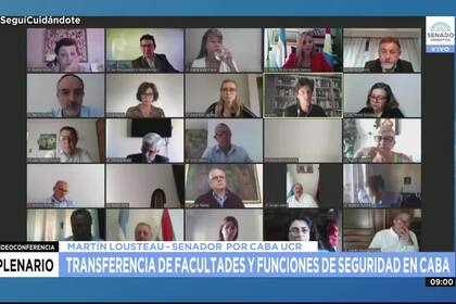 En el debate por el traspaso de fondos porteños, el senador Lousteau repudió la comparación de Taiana