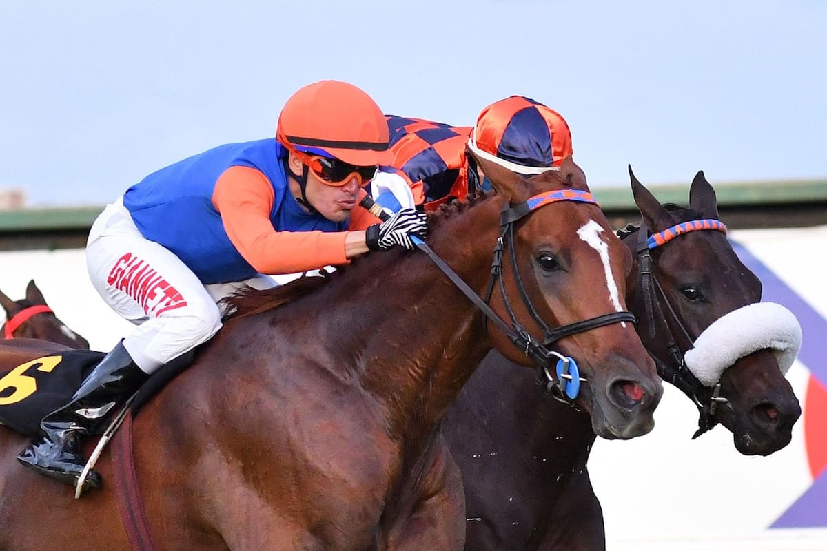 En el debut de los dos, Llegó Bien y One Thing definieron en ese orden el Clásico Zubiaurre; vuelven a encontrarse en el Jockey Club