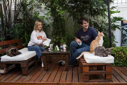En el deck se puede tomar algo rodeado de felinos; también hay un sector puertas adentro