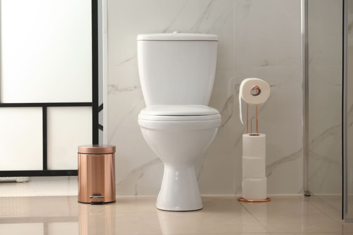 En el Día del Inodoro se concientiza sobre la importancia de la higiene