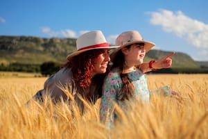 La clave para producir más alimentos con menor impacto