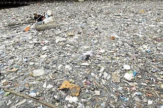 La ONU exige cambios sin precedente para evitar una catástrofe medioambiental