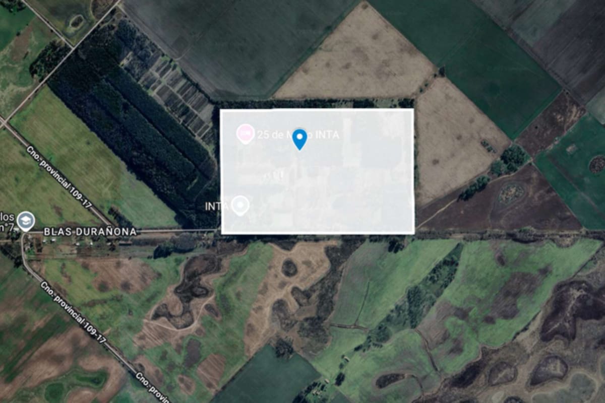 En el documento se detallaron los campos que se desafectarán