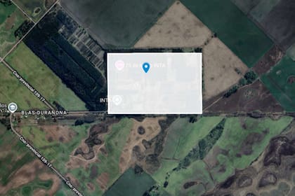 En el documento se detallaron los campos que se desafectarán