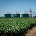 Una cooperativa agrícola creó un fondo de US$1 millón para financiar proyectos de jóvenes productores