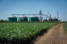Una cooperativa agrícola creó un fondo de US$1 millón para financiar proyectos de jóvenes productores
