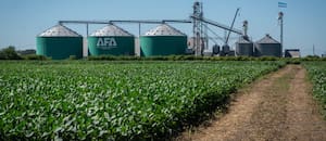 Una cooperativa agrícola creó un fondo de US$1 millón para financiar proyectos de jóvenes productores