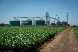 Una cooperativa agrícola creó un fondo de US$1 millón para financiar proyectos de jóvenes productores