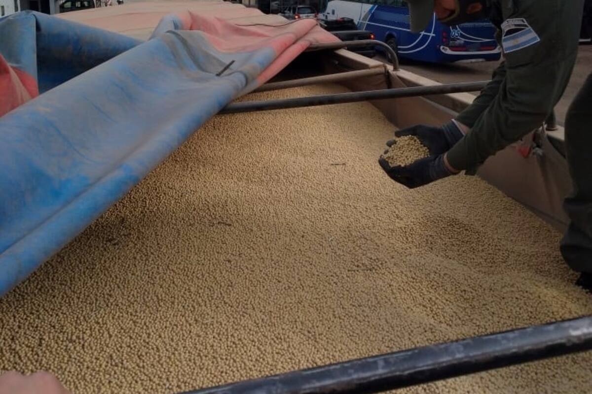 En el escuadrón de Aguaray se realizaron varios decomisos de granos en las últimas semanas