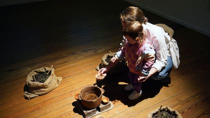 En el Espacio de Arte Contemporáneo de Montevideo, las tres obras de Bienalsur plantean problemáticas sobre el medio ambiente