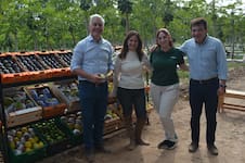 La familia que cultiva café y sueña con llegar a 100 hectáreas