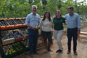 Vieron una famosa telenovela colombiana, se enamoraron de su historia y ahora cultivan café en un lugar impensado