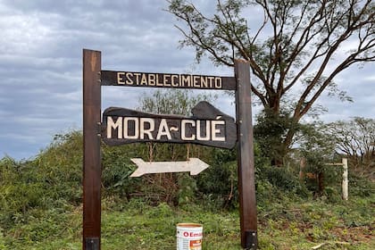 En el establecimiento Mora-Cué se registró una millonaria desaparición de hacienda