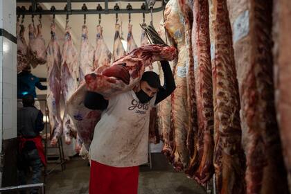 En el Gobierno minimizan el cepo. "Se está exportando carne muy por encima del promedio histórico", dijeron fuentes oficiales